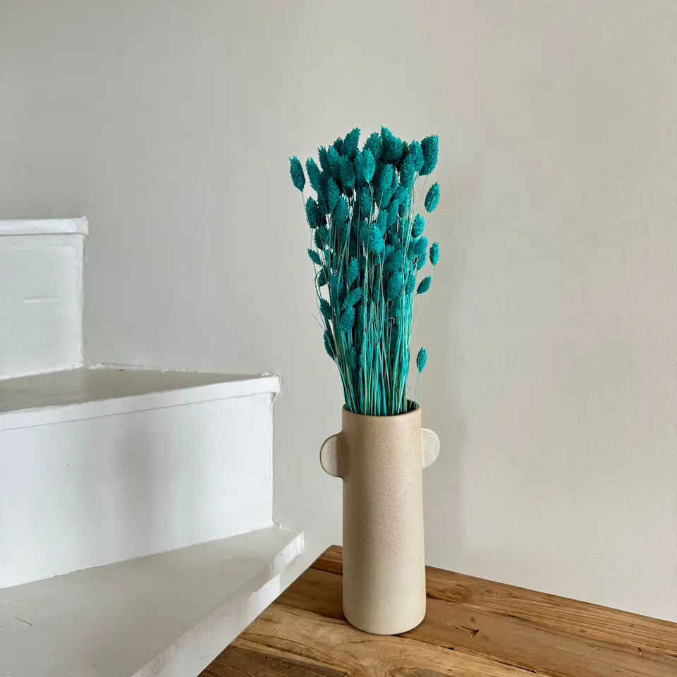 Flowrette Fleurs séchées botte phalaris turquoise x1 rustique