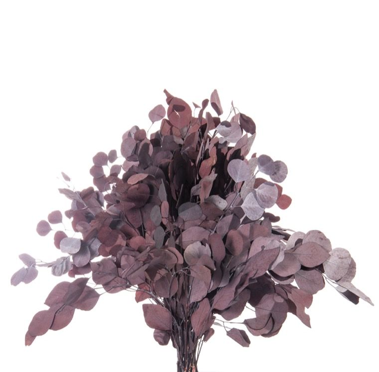 Feuillazur Rungis Eucalyptus Populus stabilisé vert 80cm