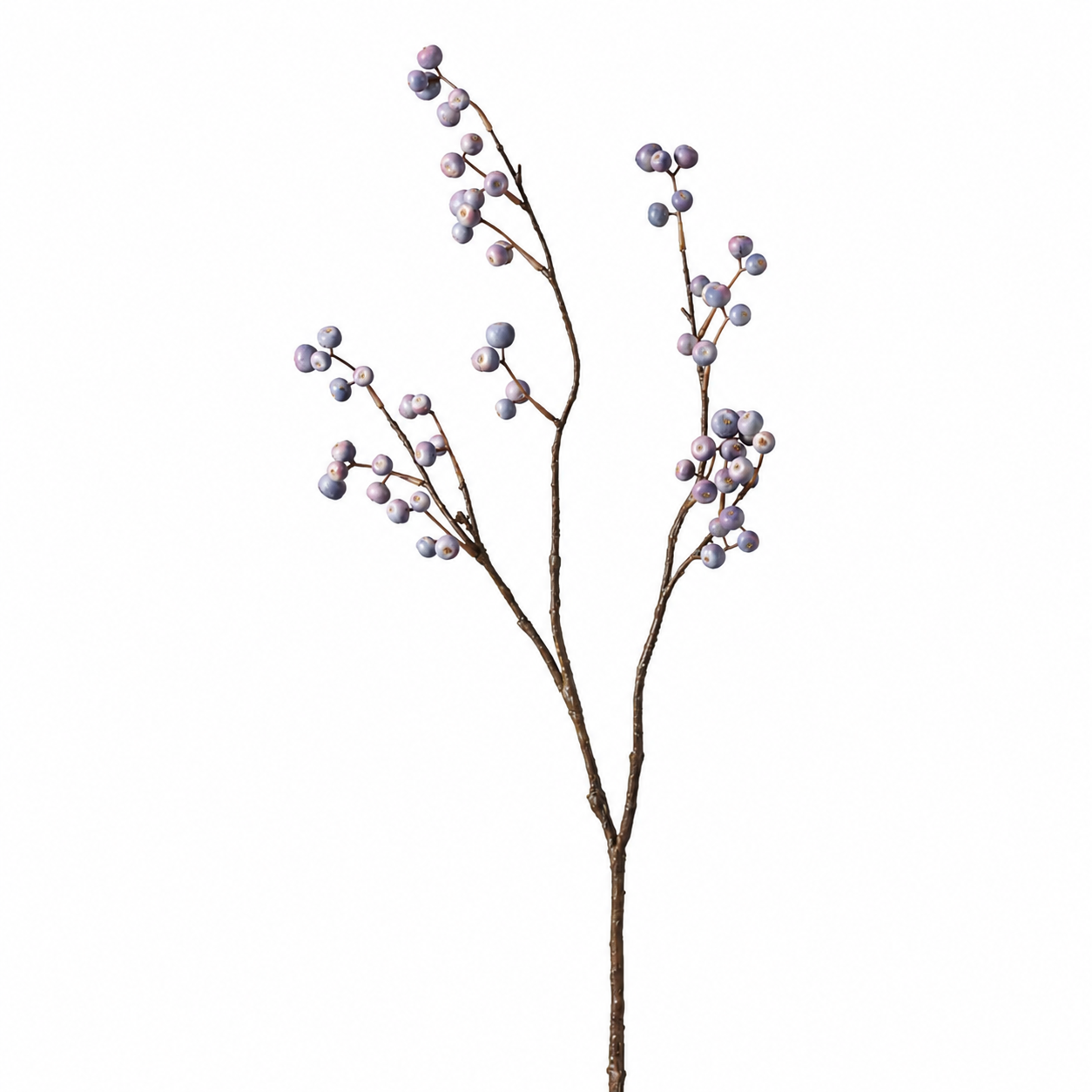 Sia Home Branche Baies Bleutées 90 cm bleue