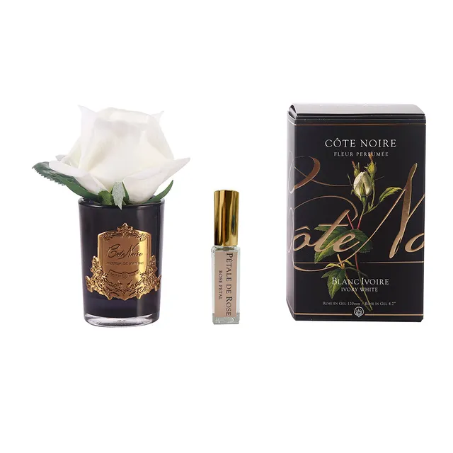 Côte Noire bouton rose ivoire vase noir GMRB41