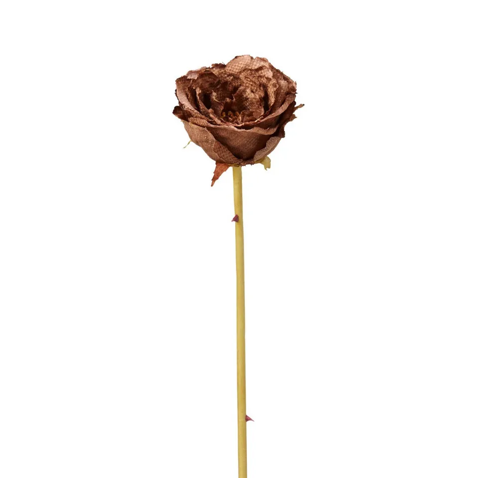 Sia Home Leslie Rose fermée artificielle marron 55 cm