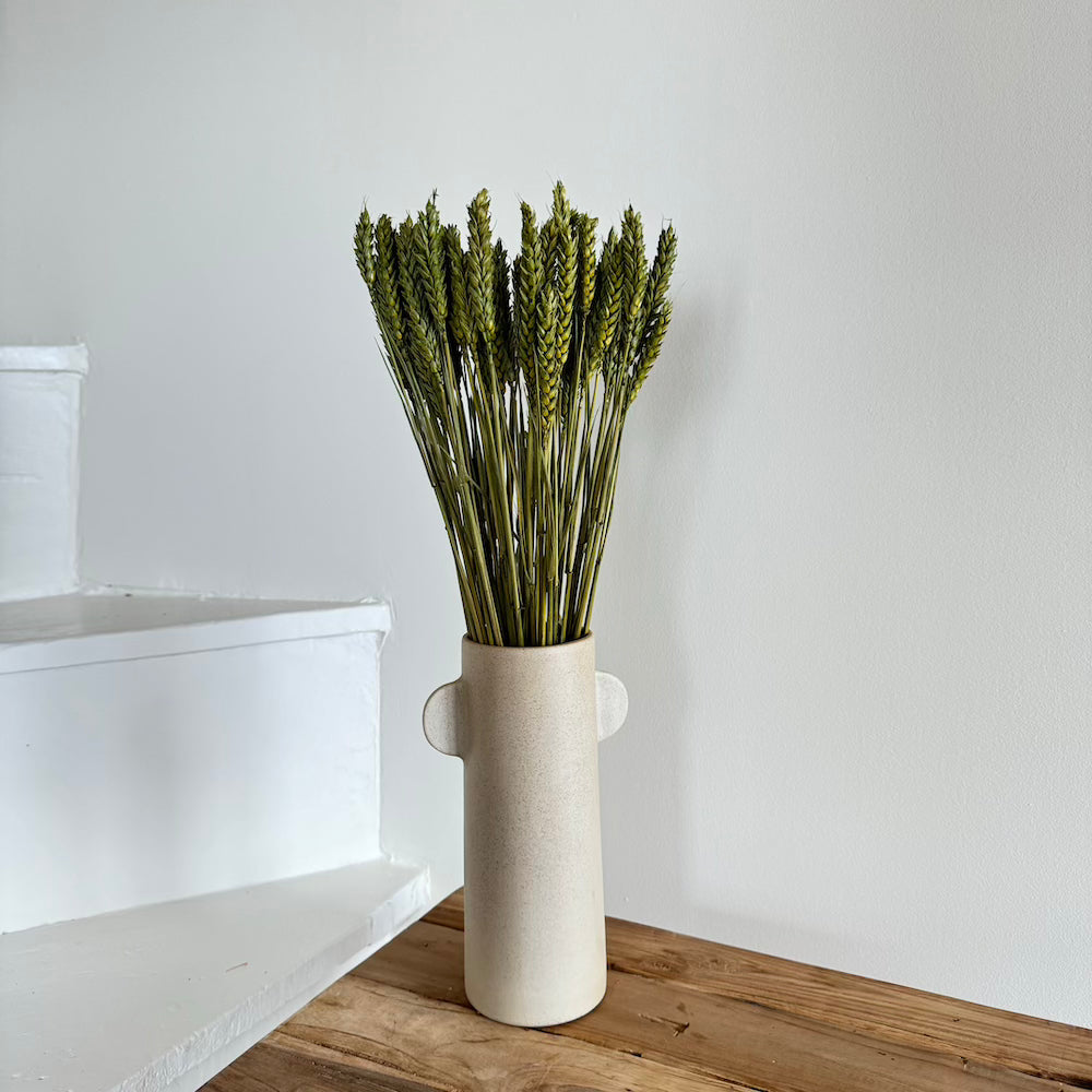 Flowrette Blé vert olive fleurs séchées botte x1