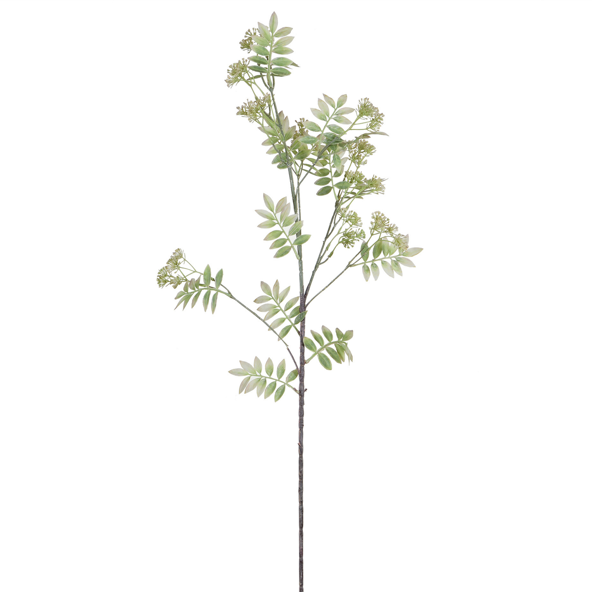 Sia Home Feuillage pointu avec fleurs 110 cm feuillage artificiel blanc