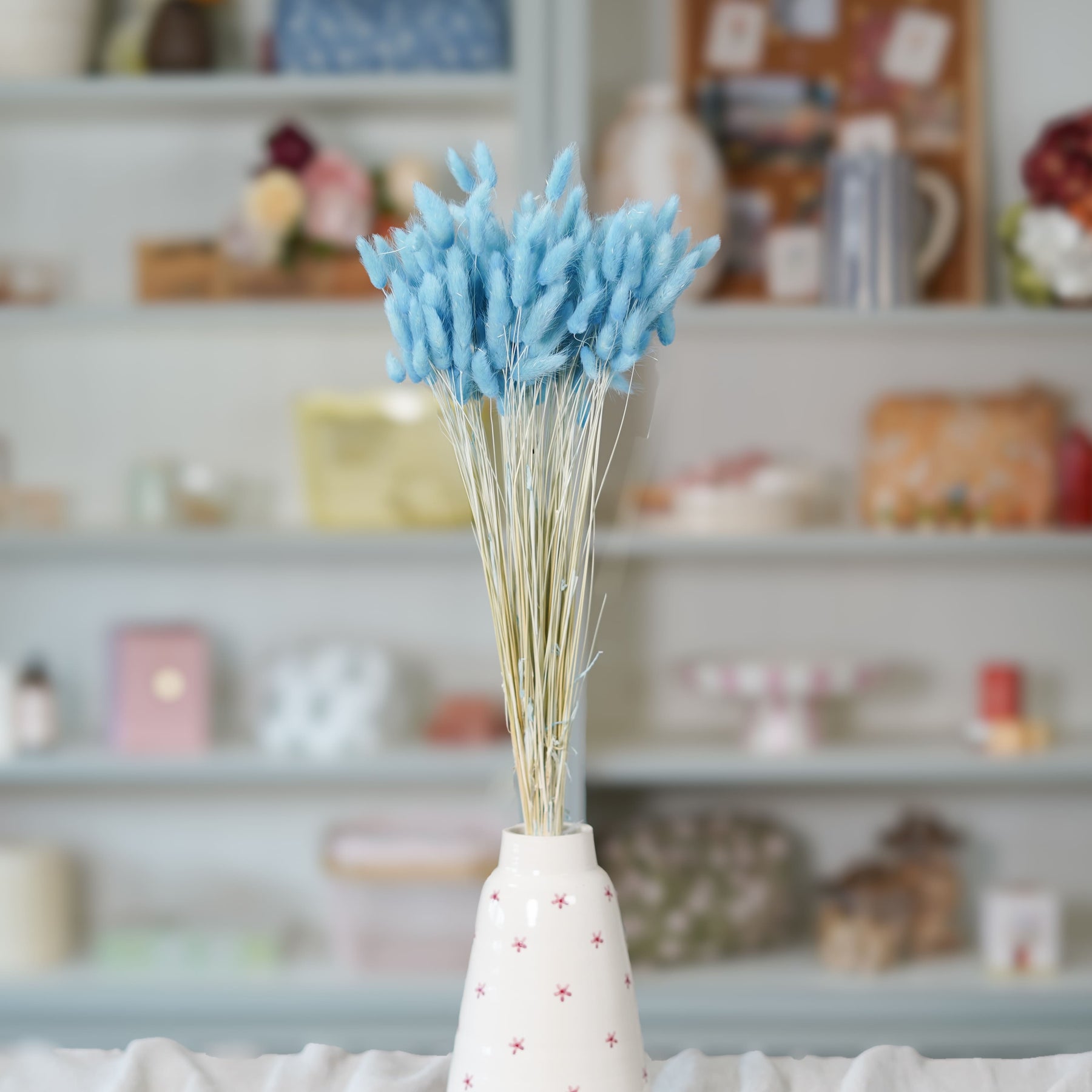 Flowrette lagurus bleu ciel séché botte queue de lièvre