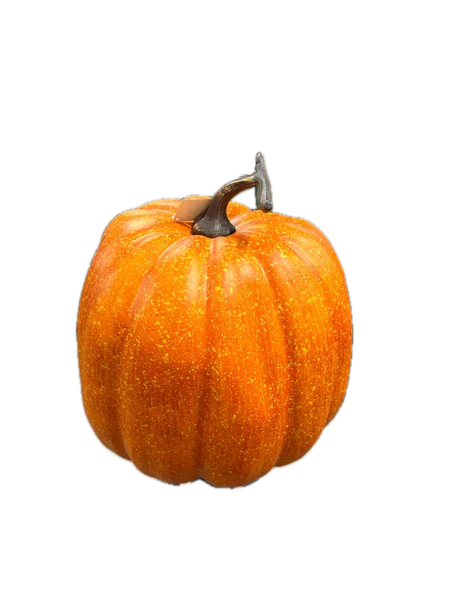 Feuillazur Rungis Contenants citrouille réaliste orange grand format
