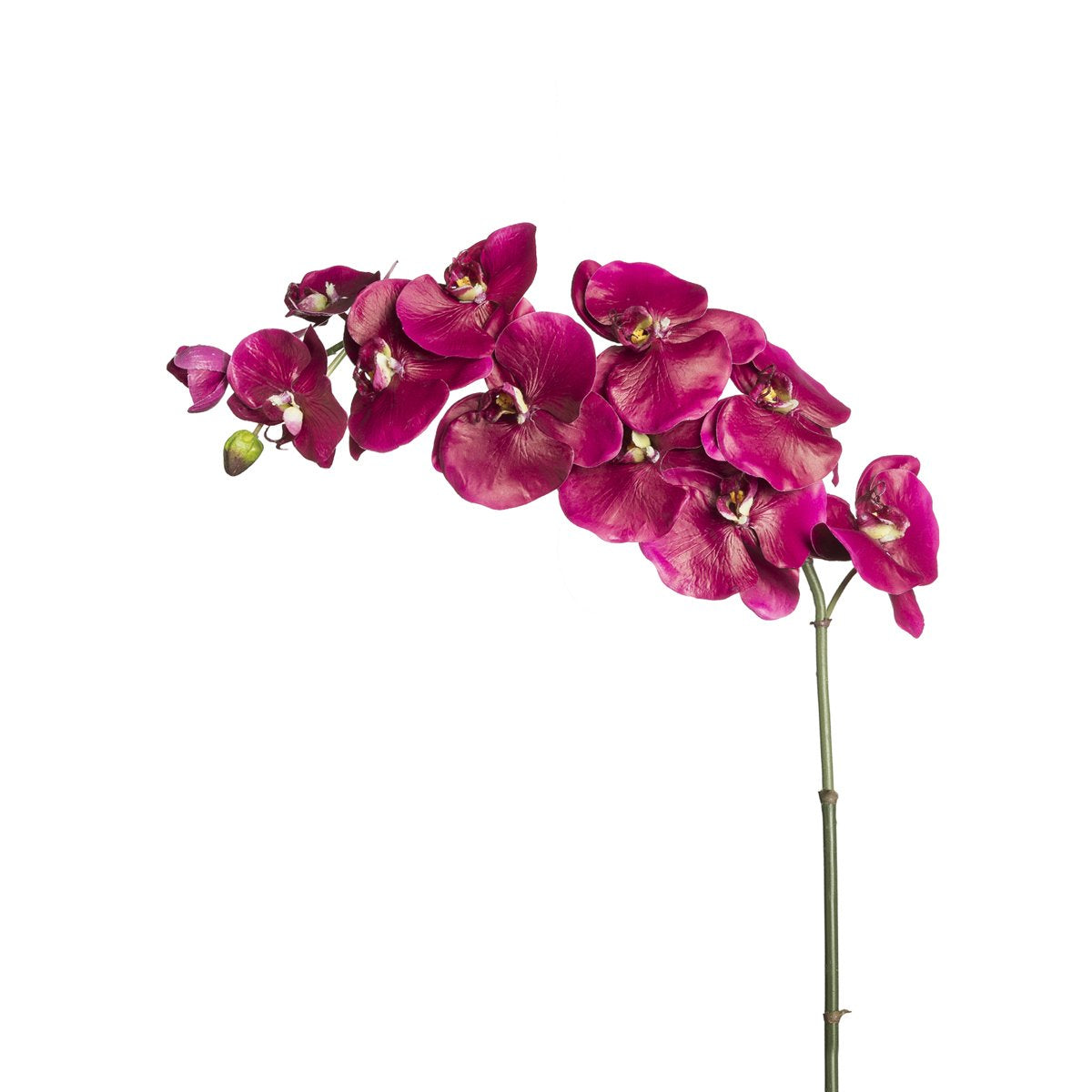Sia Home Budy tige orchidée Phalaenopsis 104 cm rose