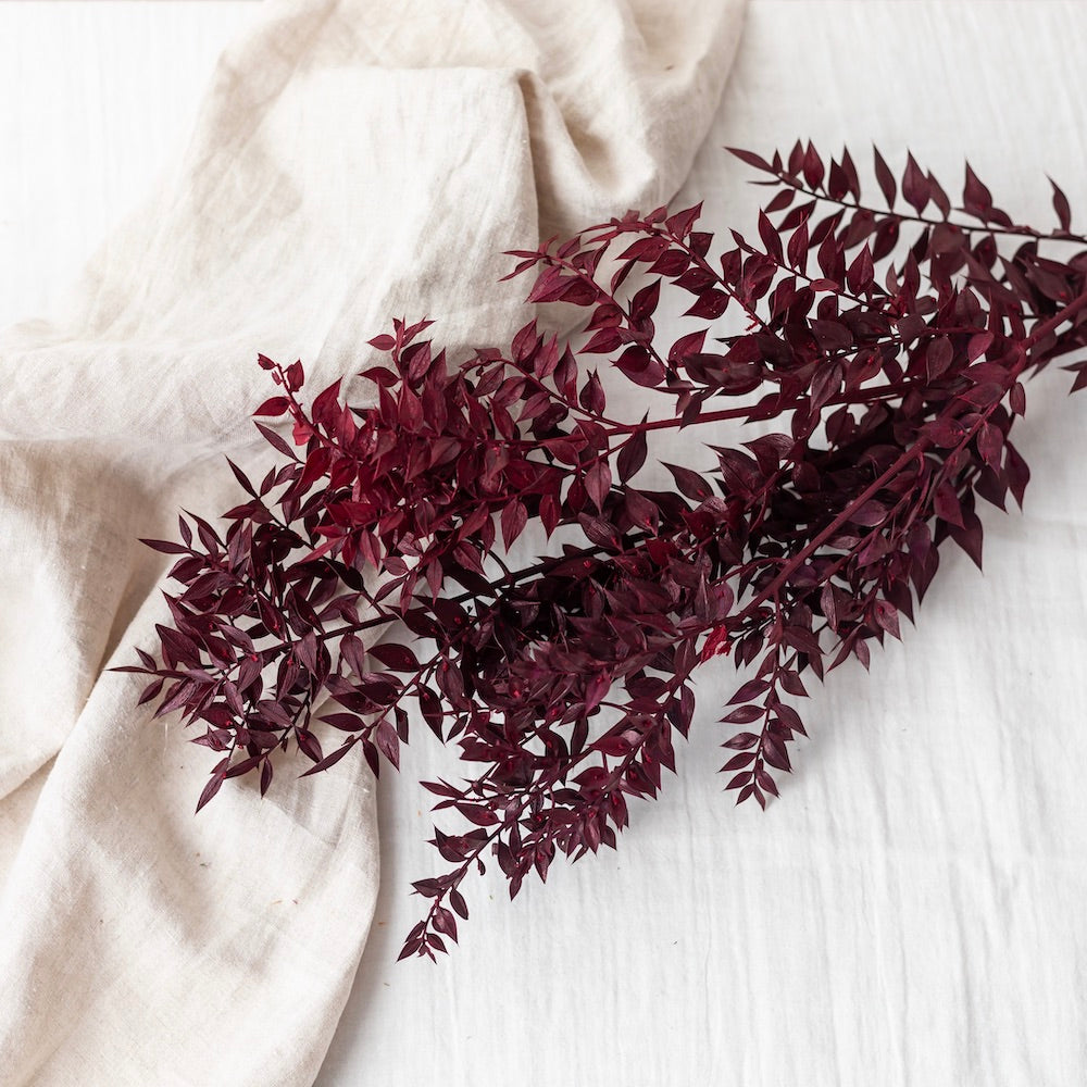 Flowrette Ruscus bordeaux botte fleurs stabilisées x1