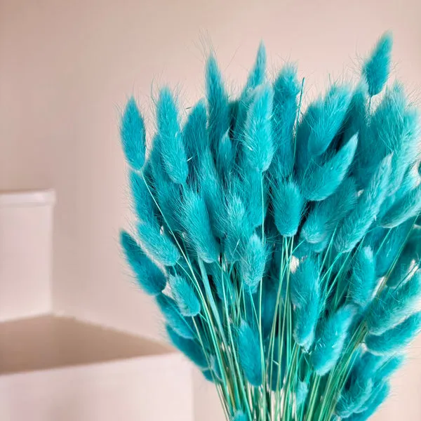 Flowrette Fleurs séchées lagurus séché turquoise botte