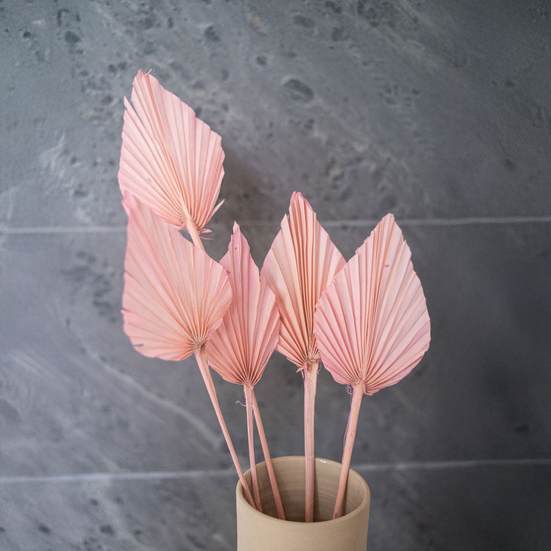 Flowrette Palme rose fleur séchée x5 bohème
