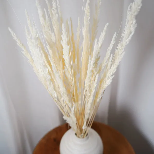Flowrette Mappetta blanchie fleurs séchées botte 90 cm