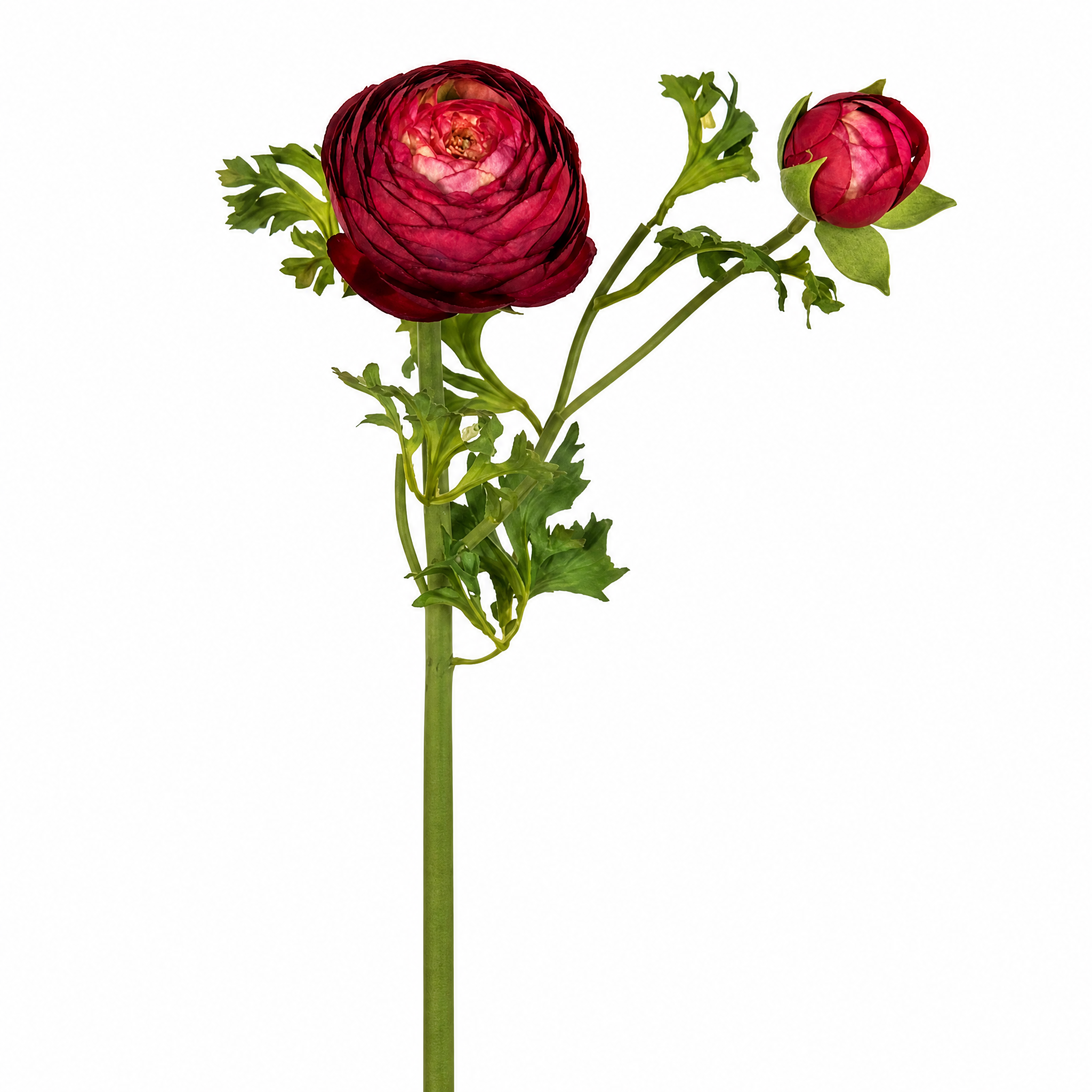 Sia Home Renoncule Premium tige artificielle rouge 56 cm