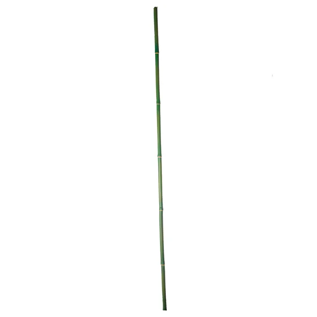 Sia Home Branche bambou artificiel vert 120 cm