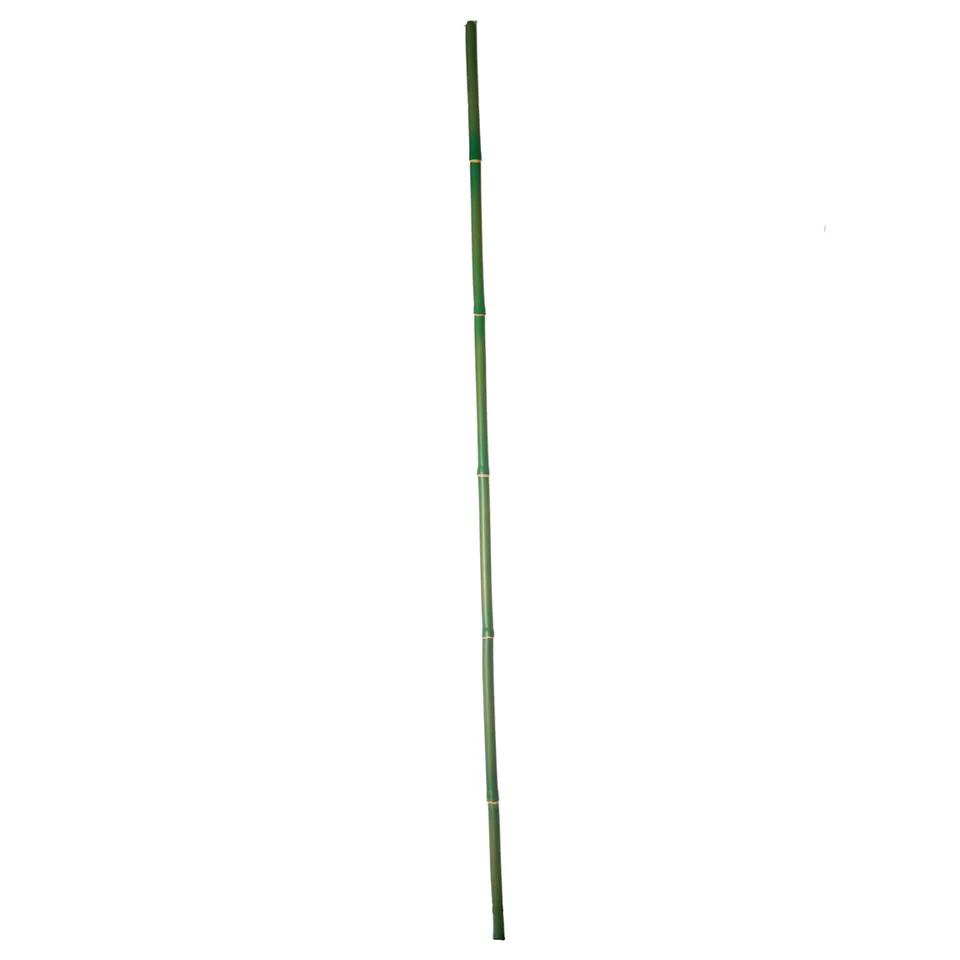Sia Home Branche bambou artificiel vert 120 cm