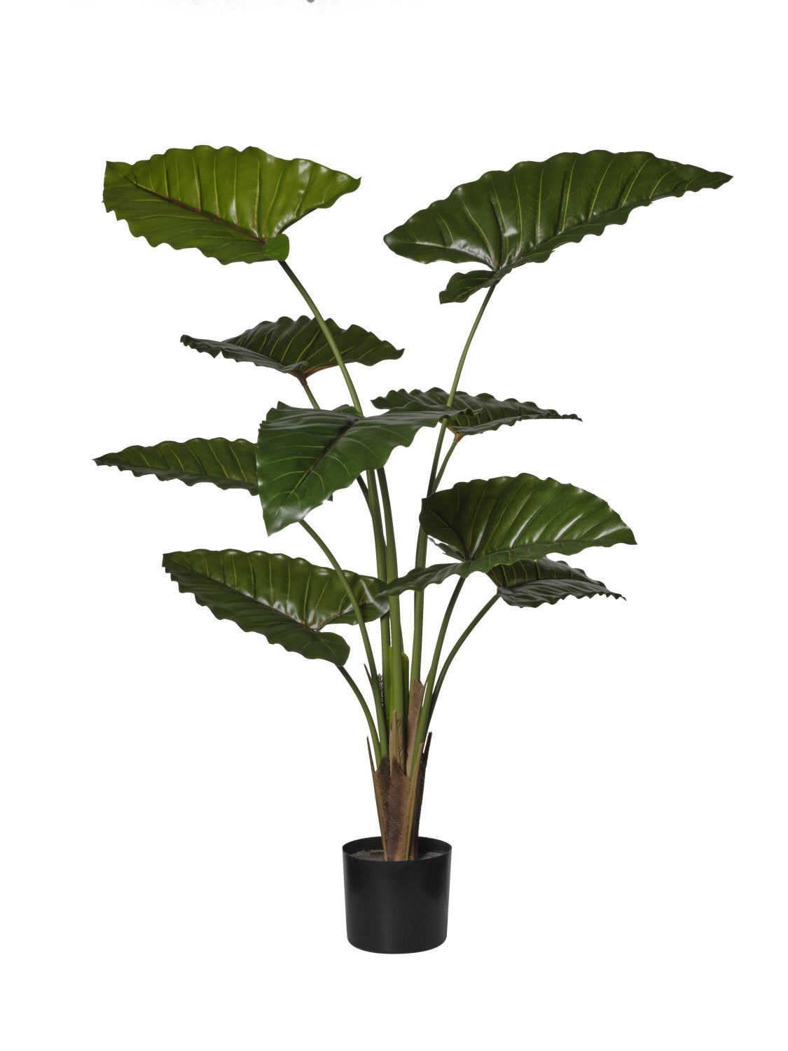 Feuillazur Rungis Taro plante artificielle verte 120cm