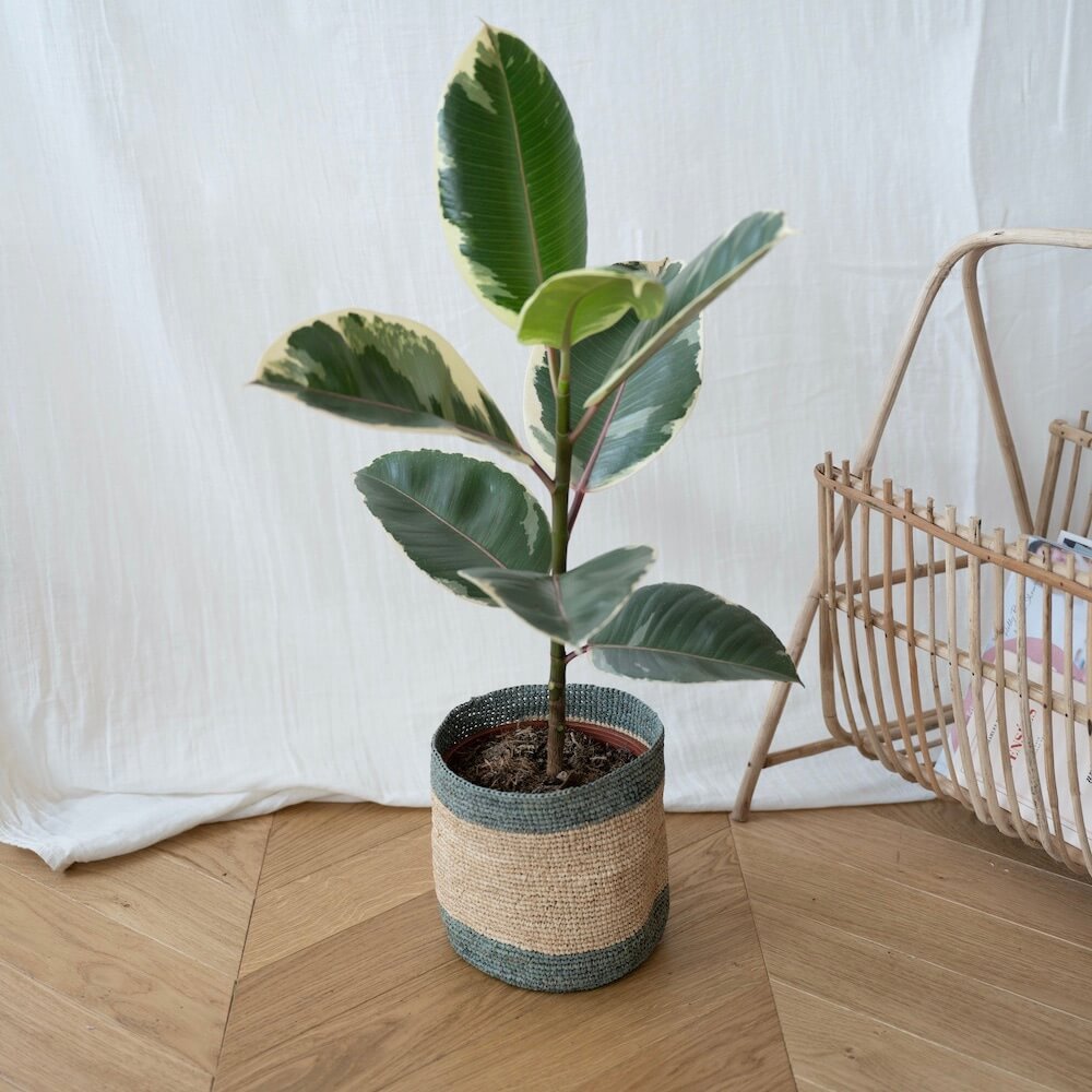 Flowrette Décoration Panier raphia Mahala 19 cm naturel