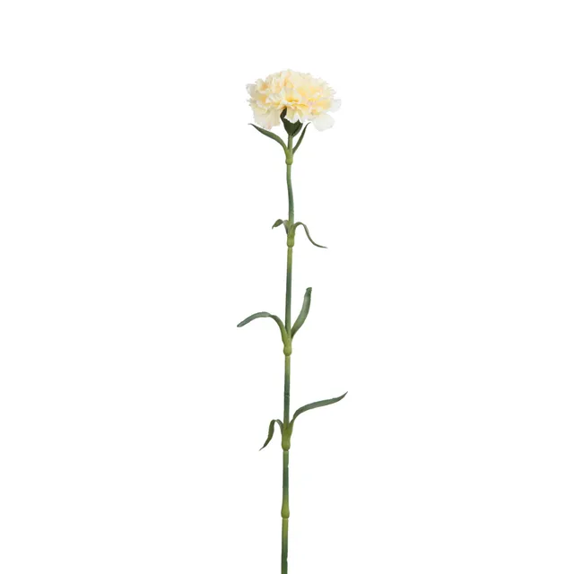 Sia Home Tiges tige d'œillet crème 55 cm artificielle