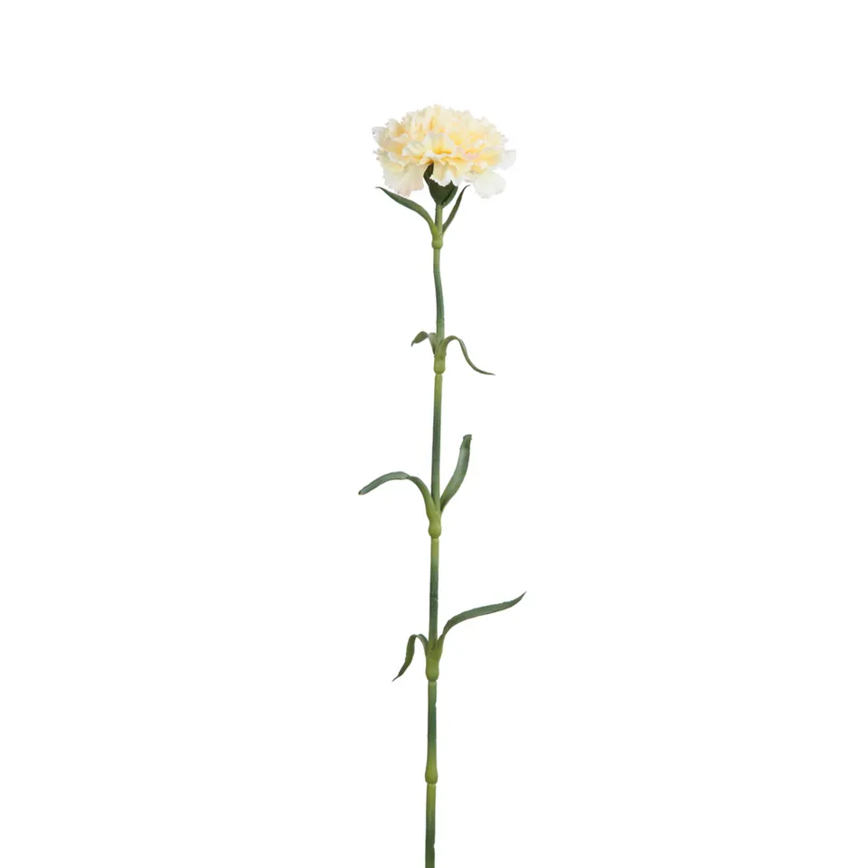 Sia Home Tiges tige d'œillet crème 55 cm artificielle