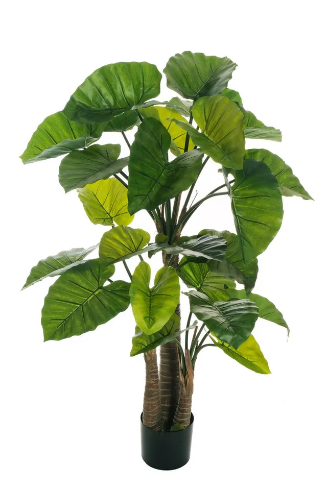 Feuillazur Rungis Alocasia vert 22x18,5x170cm plante artificielle