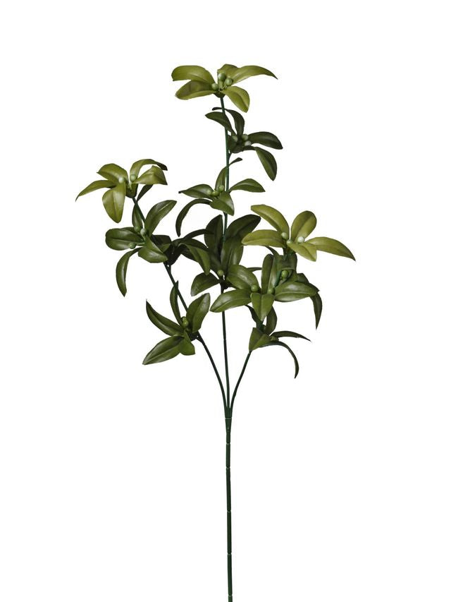 Feuillazur Fleurs artificielles Branche de lauro verte 66 cm