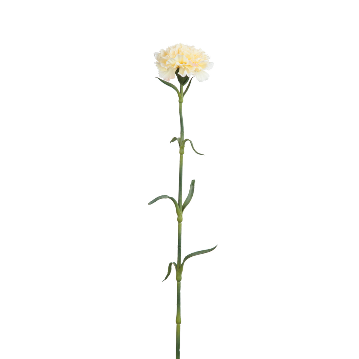 Sia Home Tiges tige d'œillet crème 55 cm artificielle