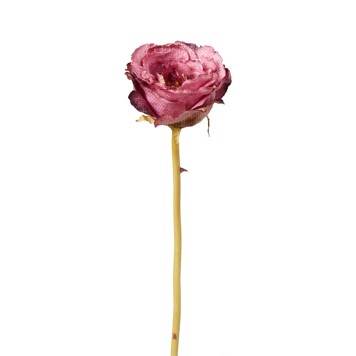 Sia Home Leslie Rose fermée artificielle marron 55 cm