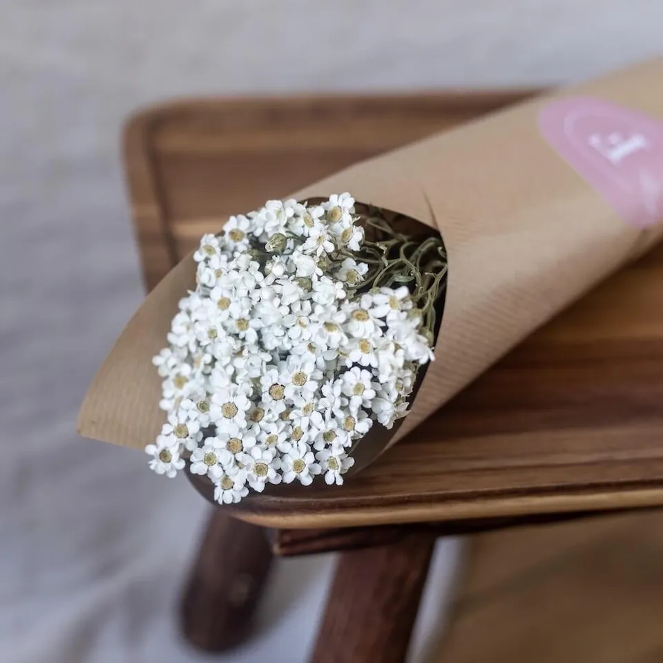 Flowrette Oxodia blanc botte fleurs séchées x1