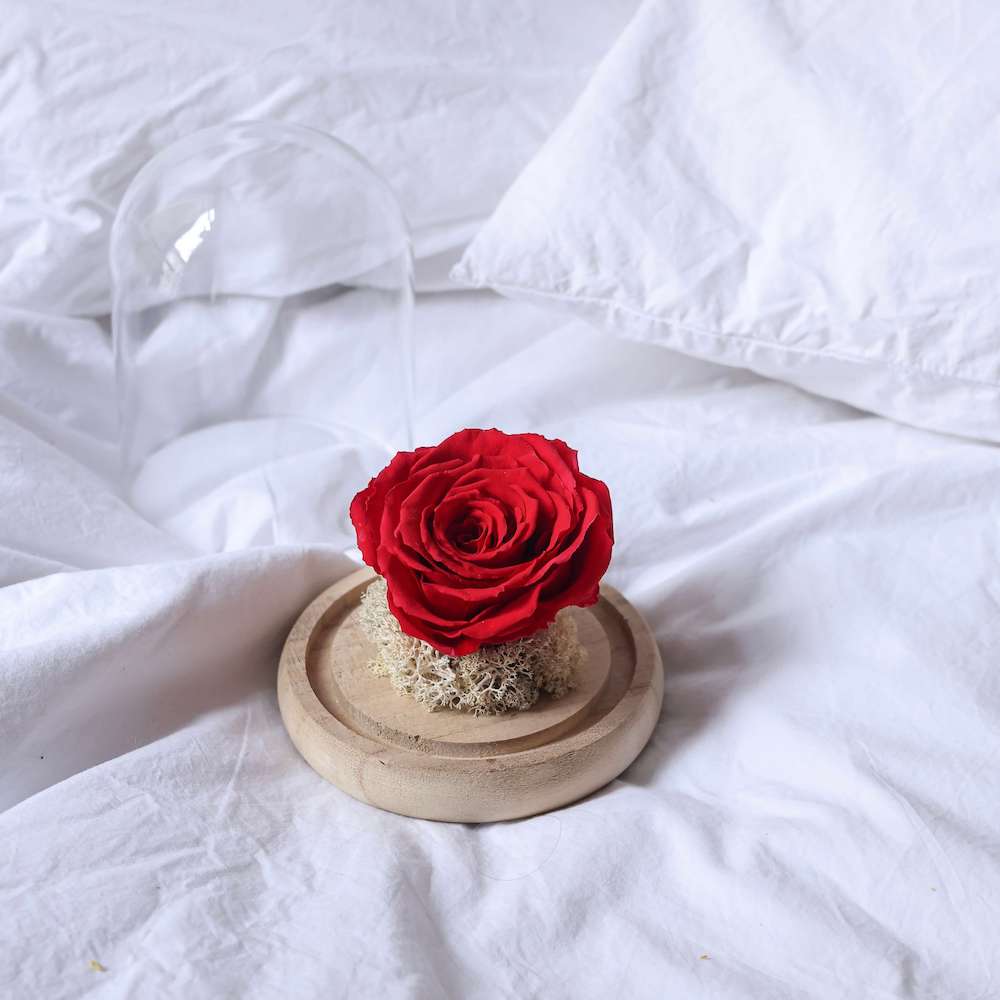 Flowrette Cloche Amour rose éternelle rouge sous verre