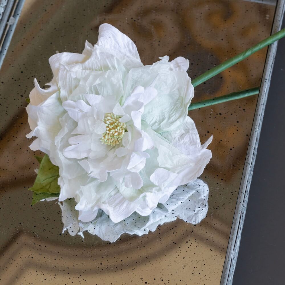Flowrette Pivoine en papier blanche tige x1 soyeuse