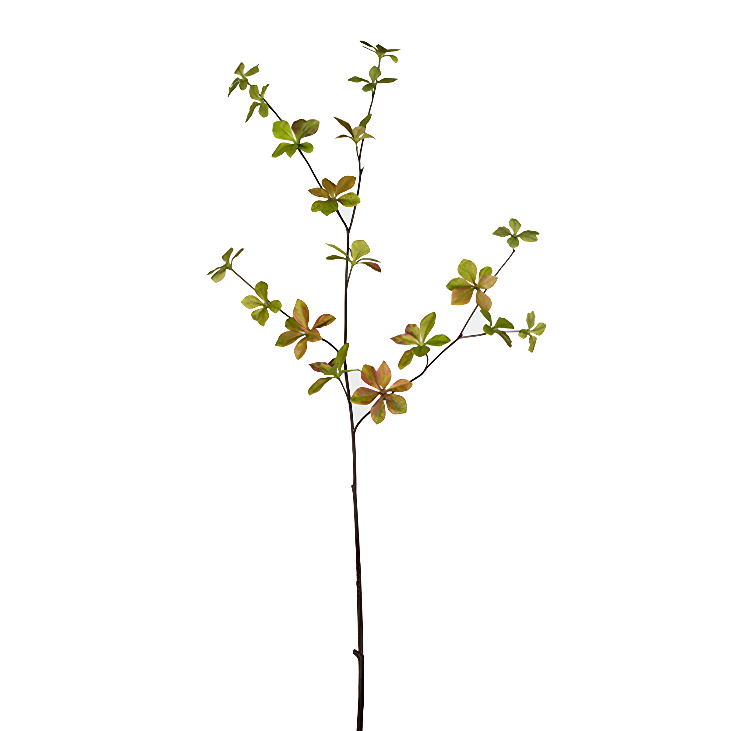Sia Feuillages artificiels Enkianthus 97 cm rouge foncé et vert