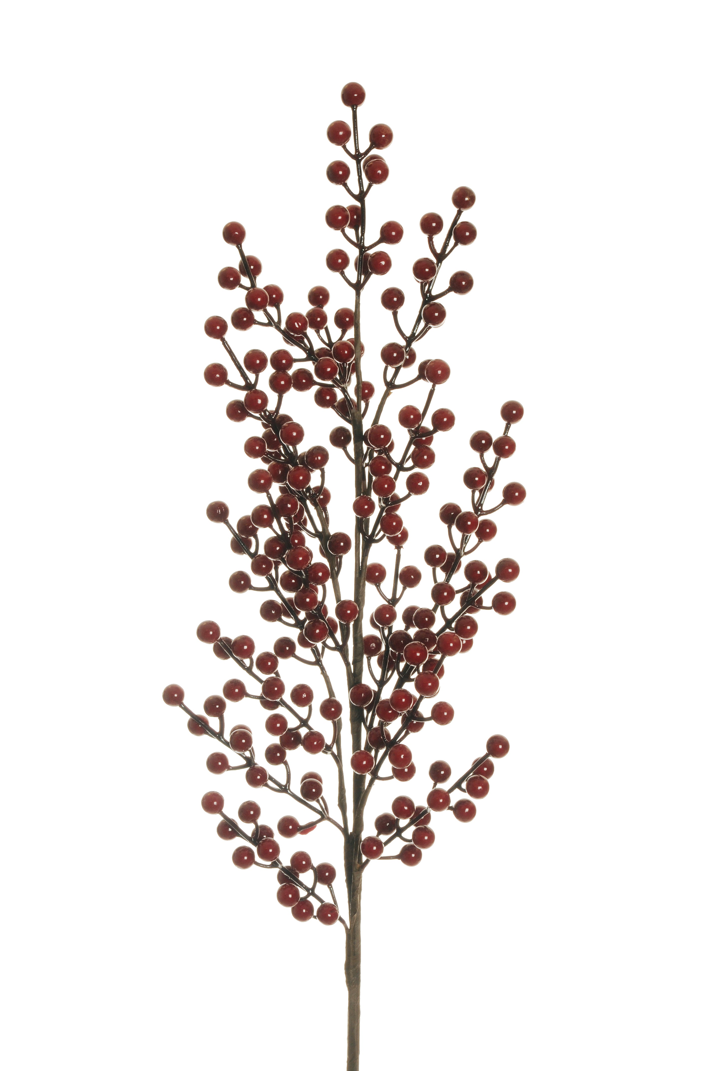 Feuillazur Rungis Produits de saison branche de baies rouge 46 cm