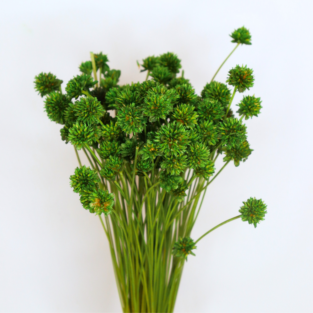 Ateliers Ouchamp Bottes Hill Flower botte fleurs séchées 100g