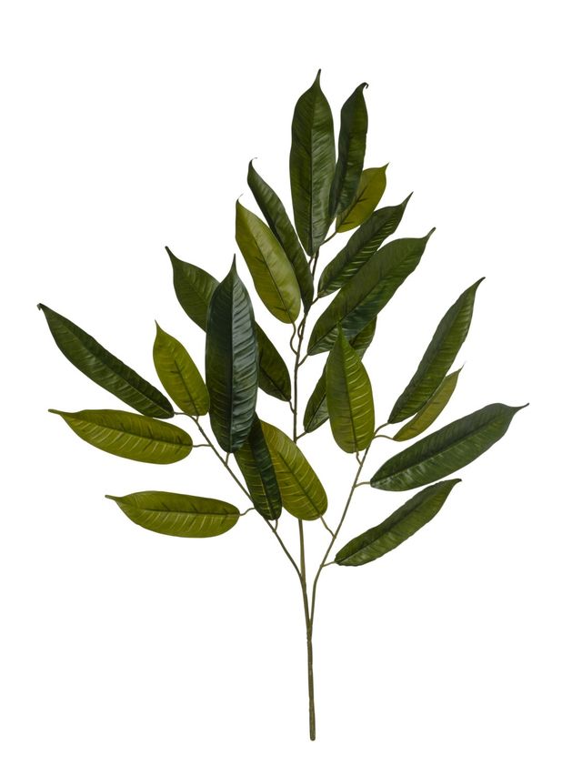 Feuillazur Rungis Ruscus branche verte artificielle bouquet