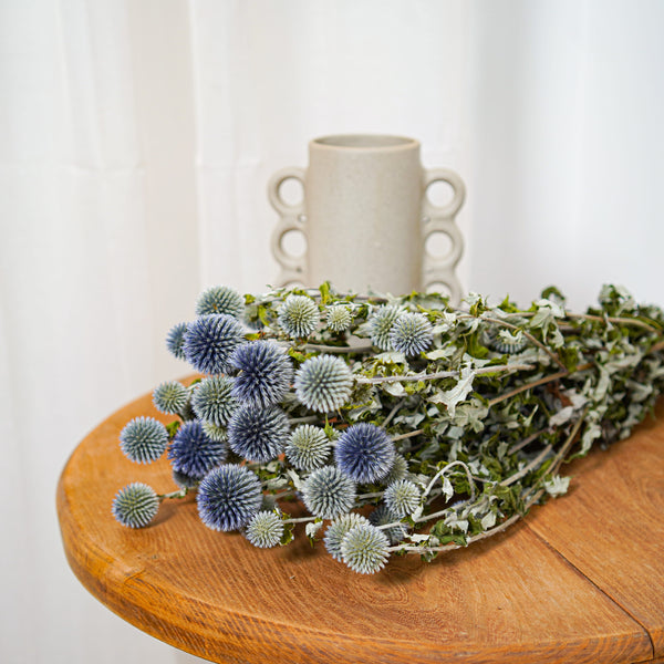 Flowrette Fleurs séchées Echinops bunch botte bleutée 70 cm