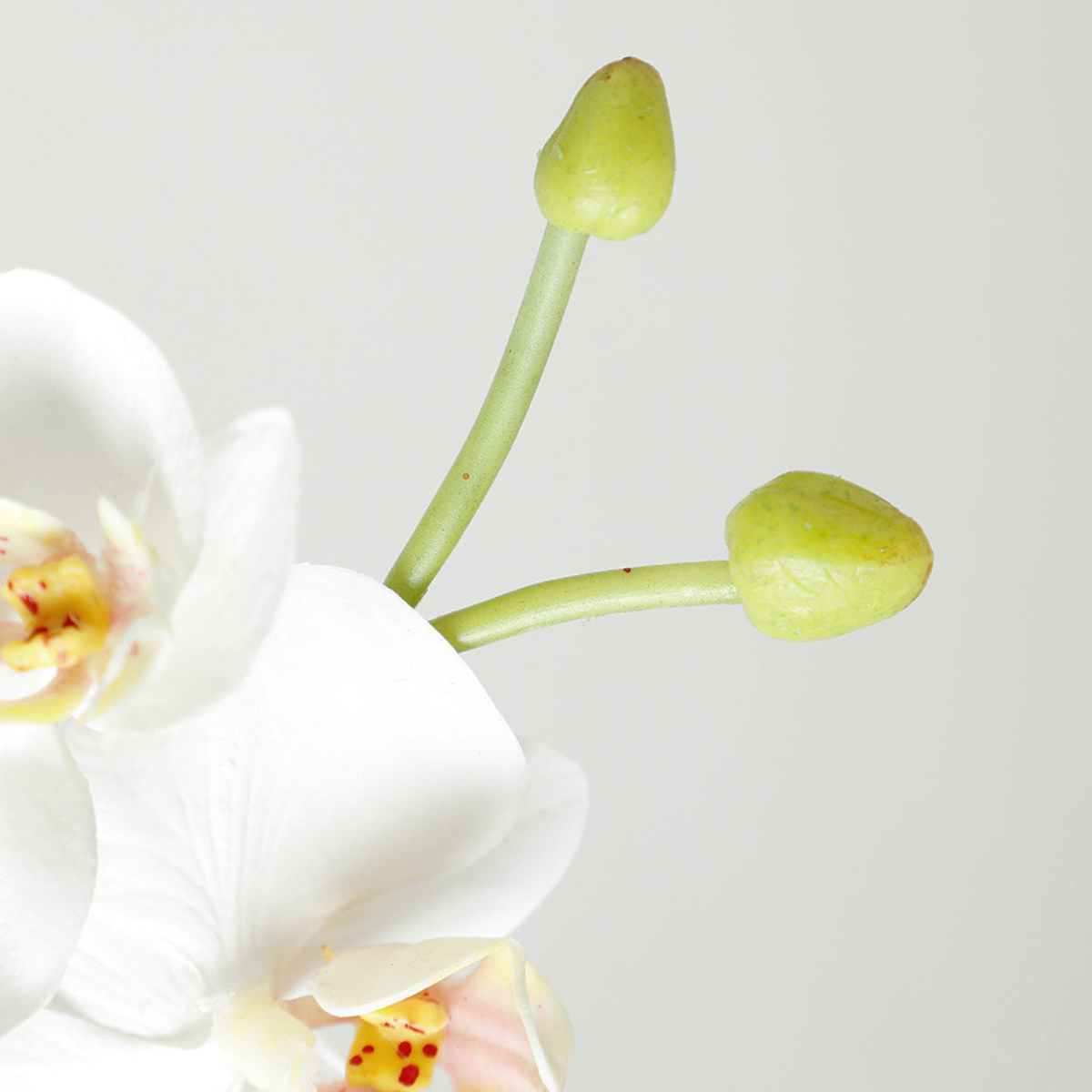 Sia Home Orchidée tige artificielle blanche 72 cm