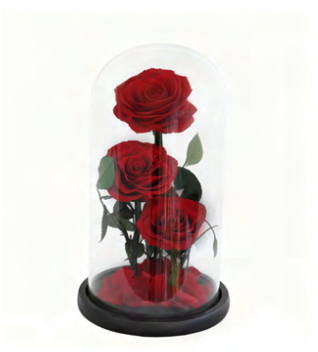 Feuillazur Rungis Trio roses stabilisées sous cloche rouge 17x32 cm