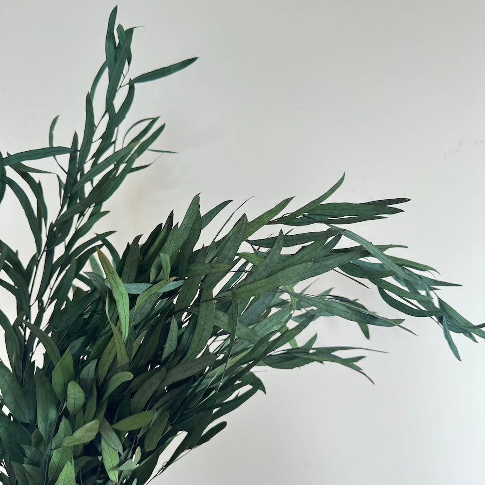 Flowrette Fleurs stabilisées Eucalyptus Nicoli botte verte x1