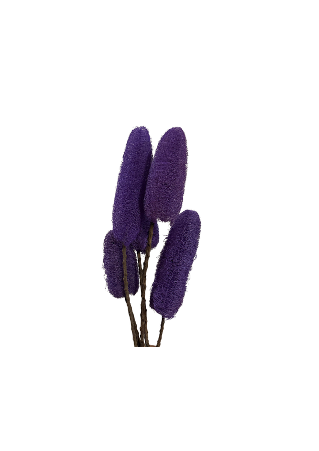 Feuillazur Luffa fleur séchée violet décor naturel