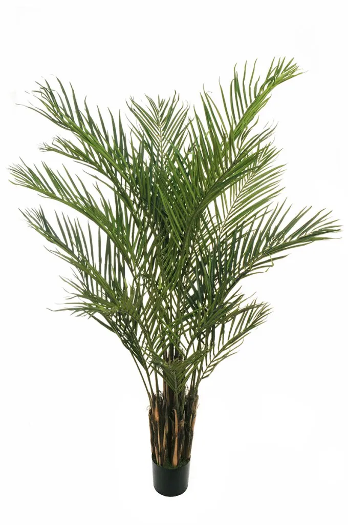Feuillazur Phoenix palmier artificiel vert 180cm