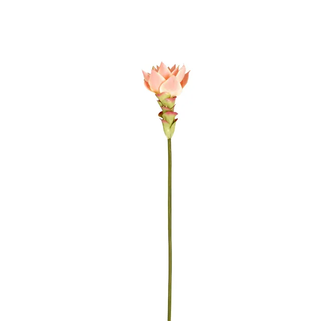 Sia Home Tige Gingembre Miami rose fleur 48 cm