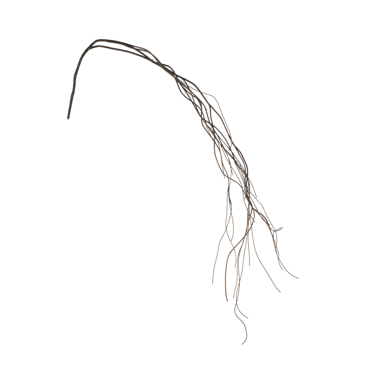 Sia Home Branches 160cm branche marron bois séché