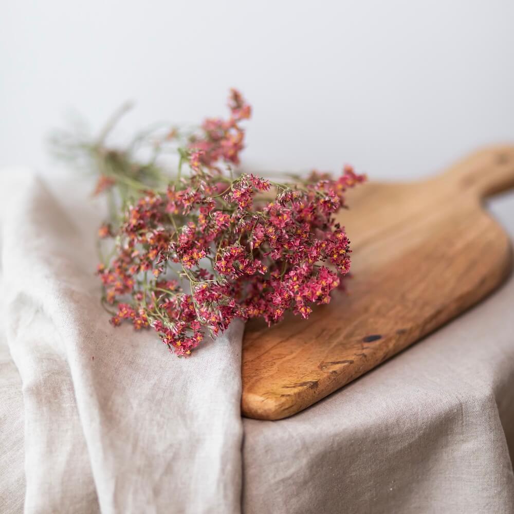 Flowrette botte Limonium rouge fleurs séchées x1