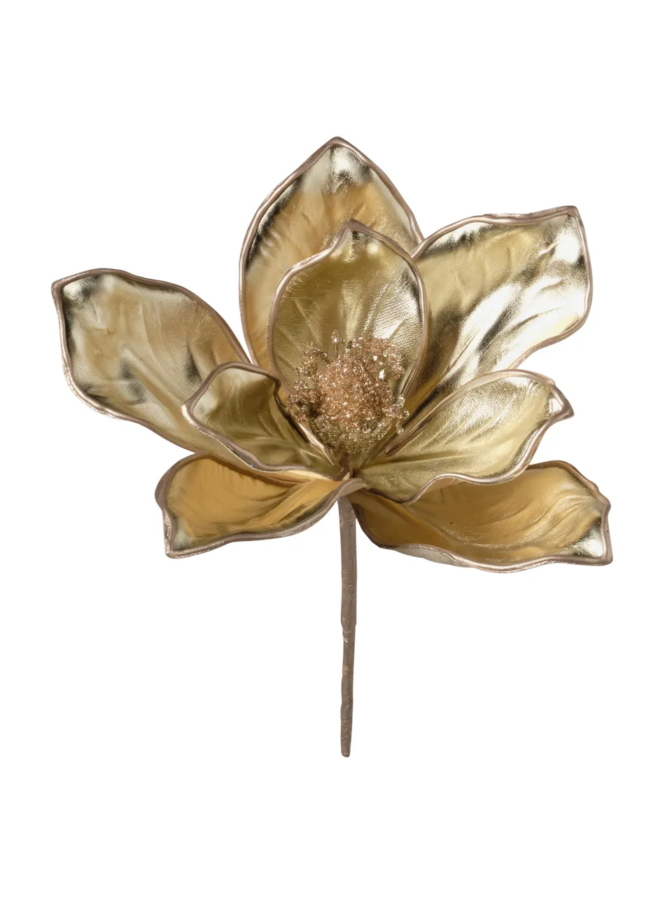 Feuillazur Rungis Produits de saison Tige de magnolia fleur champagne 25cm