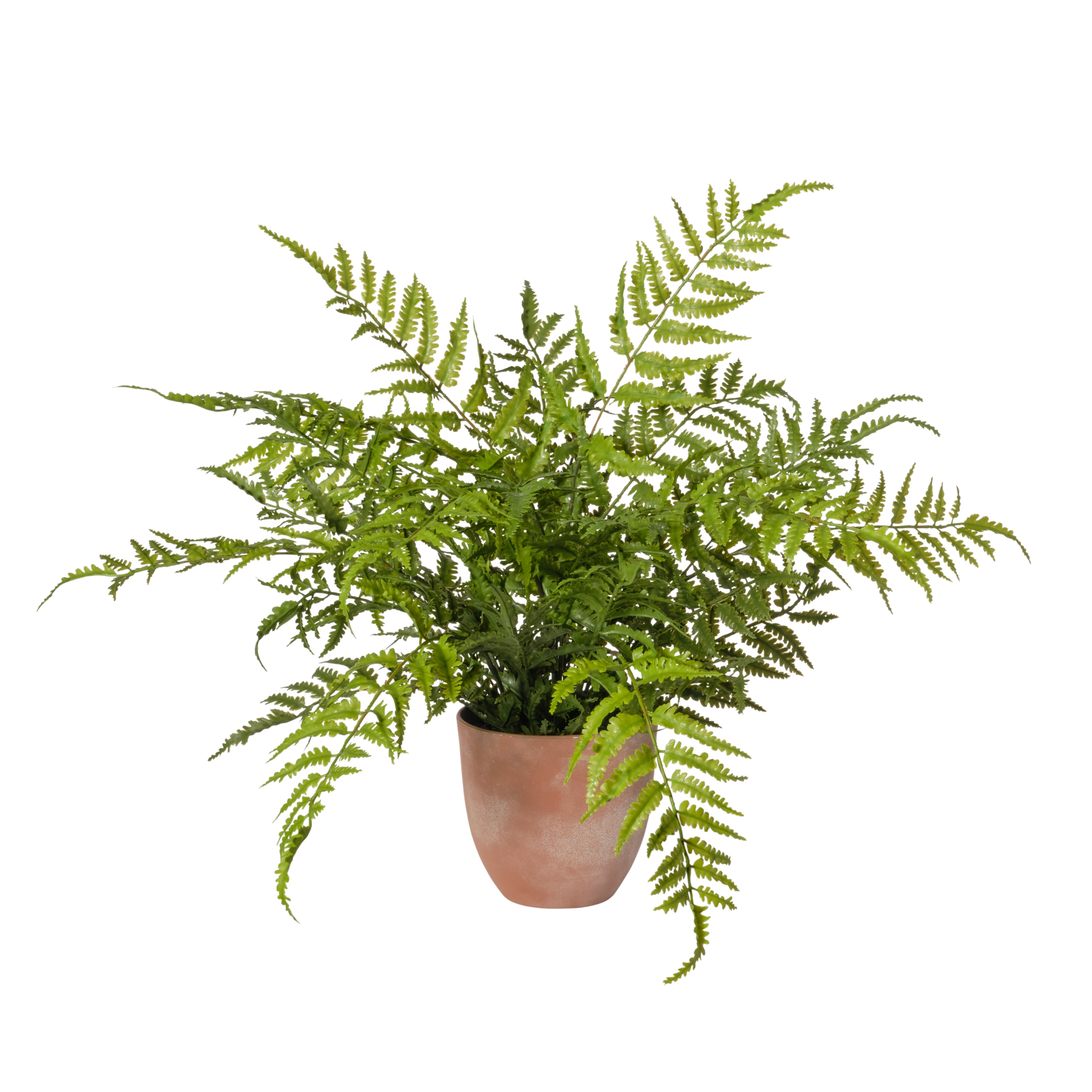 Feuillazur Rungis Fern Plante artificielle verte 55x55x58 cm