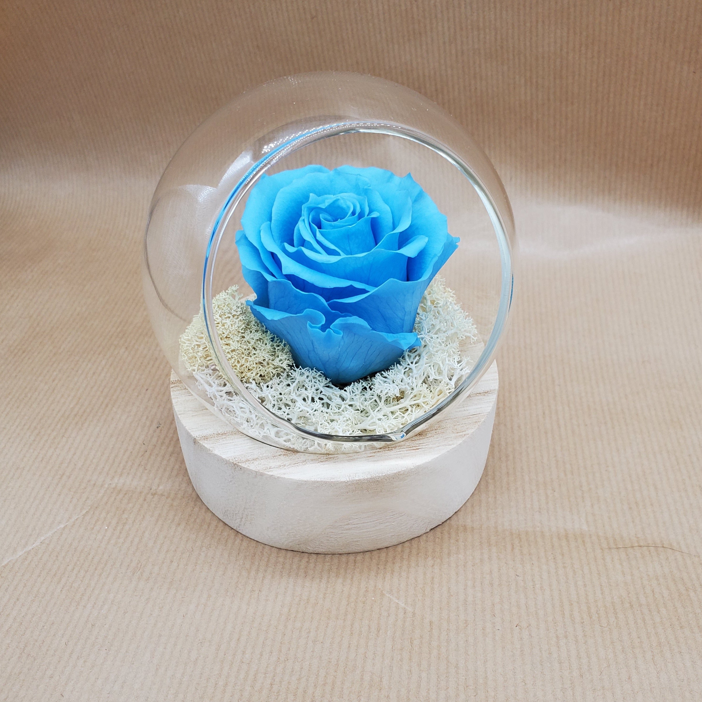 ATELIERS OUCHAMP Place Mexico rose éternelle blanche 10cm