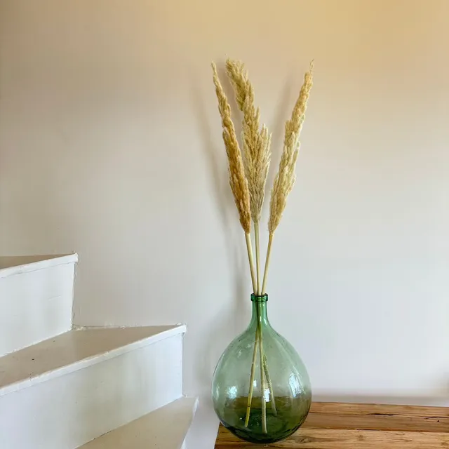 Flowrette Herbe de la pampa séchée x3 blanche 65-80 cm salon
