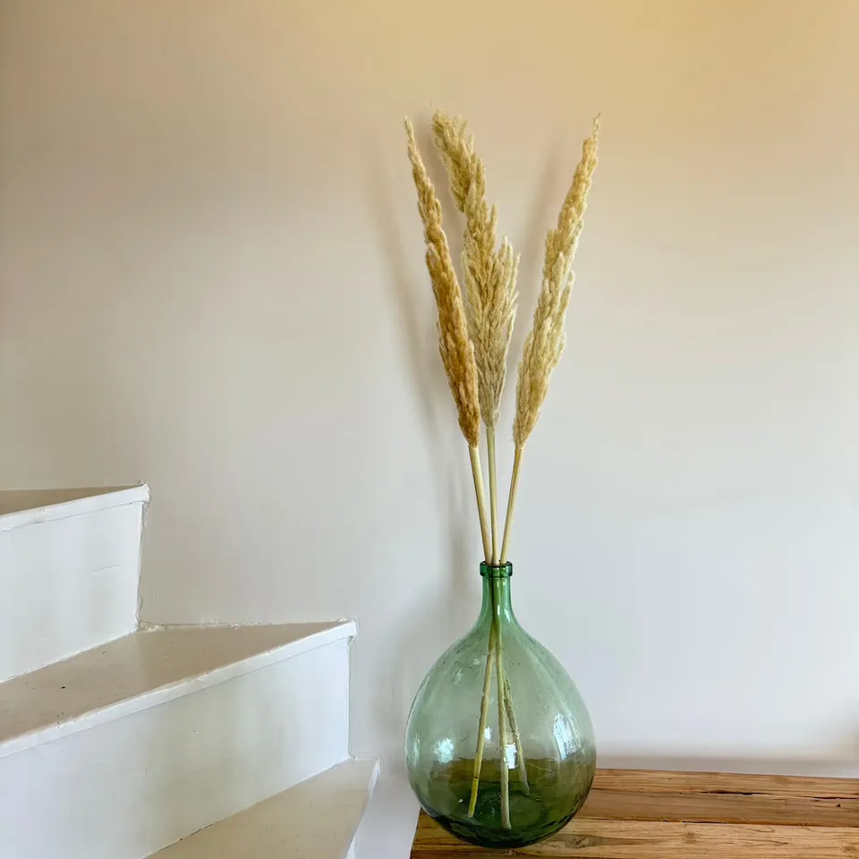 Flowrette Herbe de la pampa séchée x3 blanche 65-80 cm salon