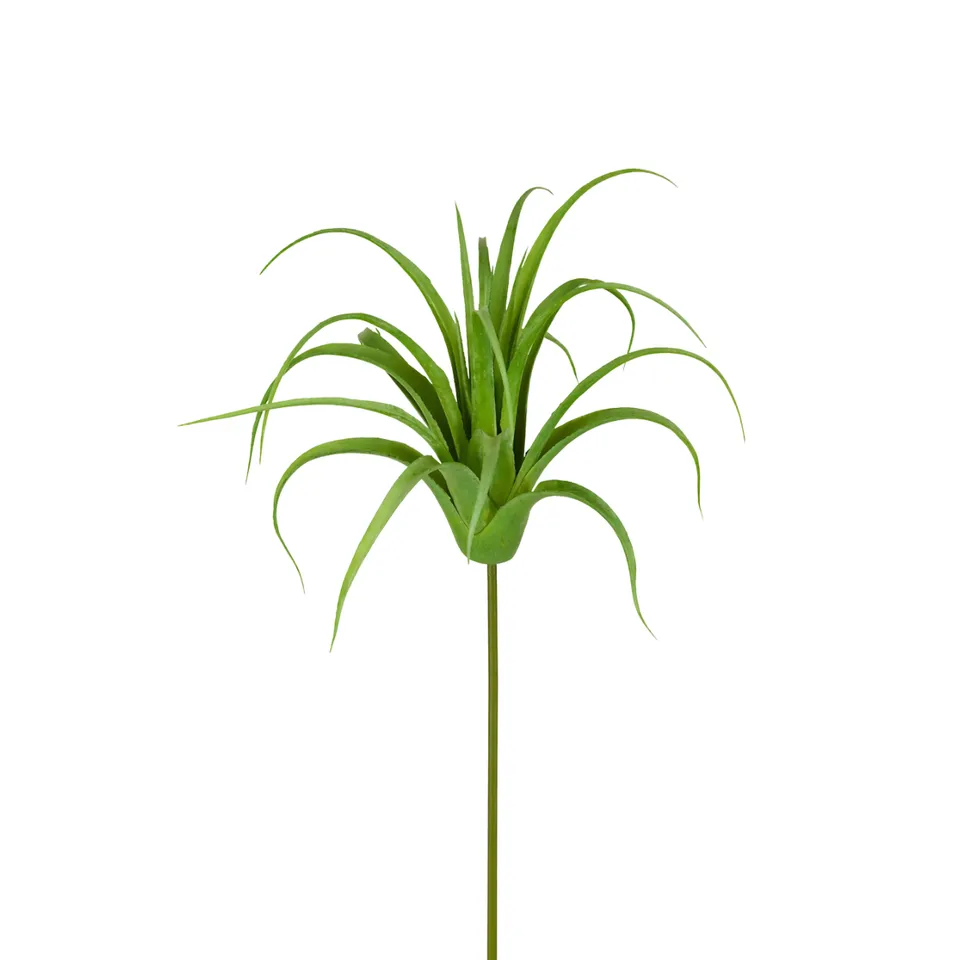 Sia Home Feuillages Tillandsia 20 cm tige verte