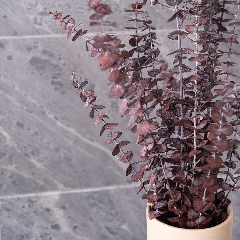 Flowrette Eucalyptus Baby Bordeaux Fleurs Stabilisées