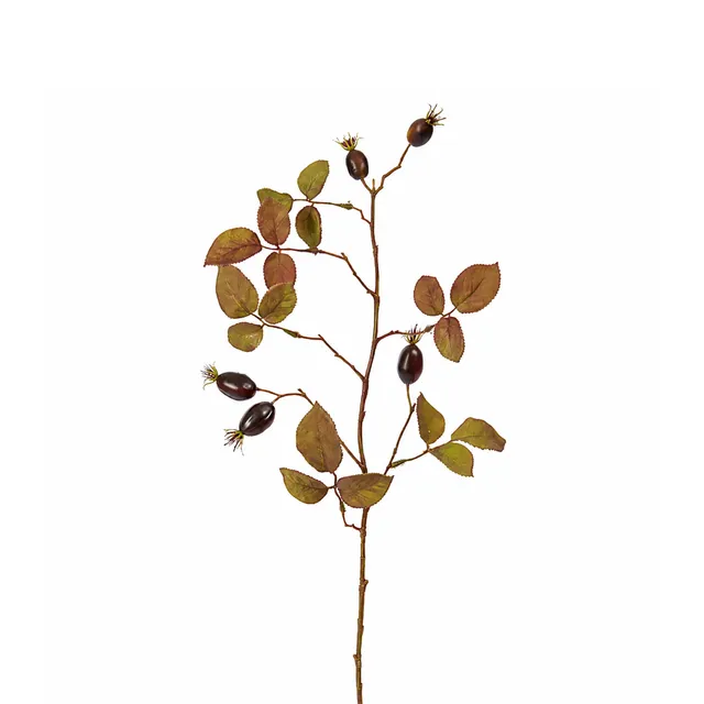 Sia Home Eglantier tige feuillage artificiel marron 66 cm