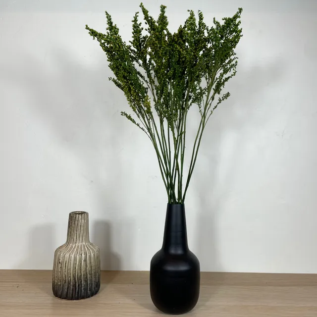 Ateliers Ouchamp Solidago stabilisé botte verte 30 cm